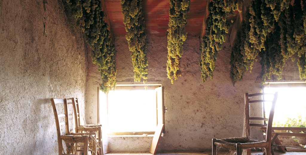 Herstellungsmethoden: Ripasso – Doppio Passo - Appassimento